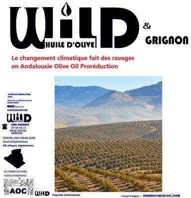 ENERDJIL #noyau d'#olive pour #poêle #pouvoir #calorifique #noyau d'#olive #biomasse #grignon d'#olive Quelle est la qualité du bois d'olivi