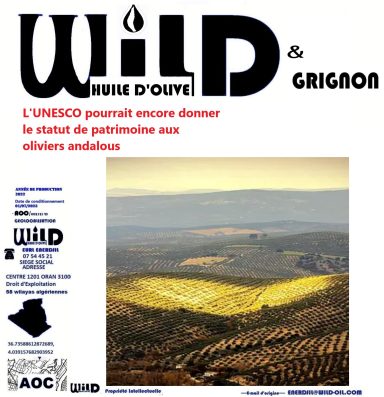 #biomasse #grignon d'#olive #C'est quoi l'#huile de #grignons d'#olive ? #Comment utiliser l'#huile de #grignons d'olive ?
